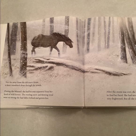 🤑”Winter’s Gift” book by Jane Monroe Donovan - Picture 6 of 11